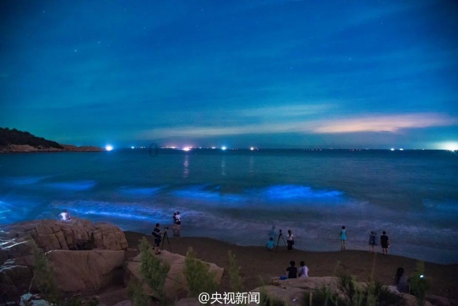 逃离沙地